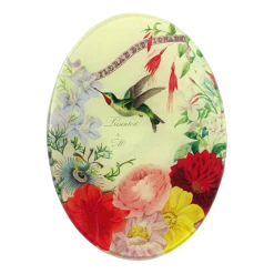 John Derian Flora's Dictionary (Hummingbirds)