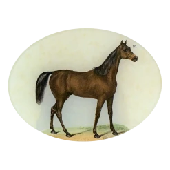 John Derian Horse #121 Decoupage