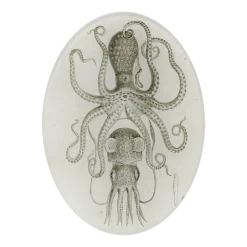 John Derian Decoupage Squid & Octopus