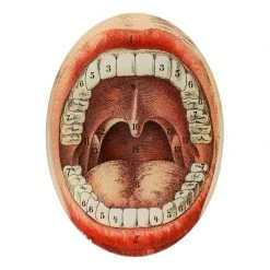 John Derian Stephen Decoupage