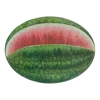 John Derian Watermelon
