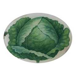 John Derian Decoupage Scrapbook Cabbage