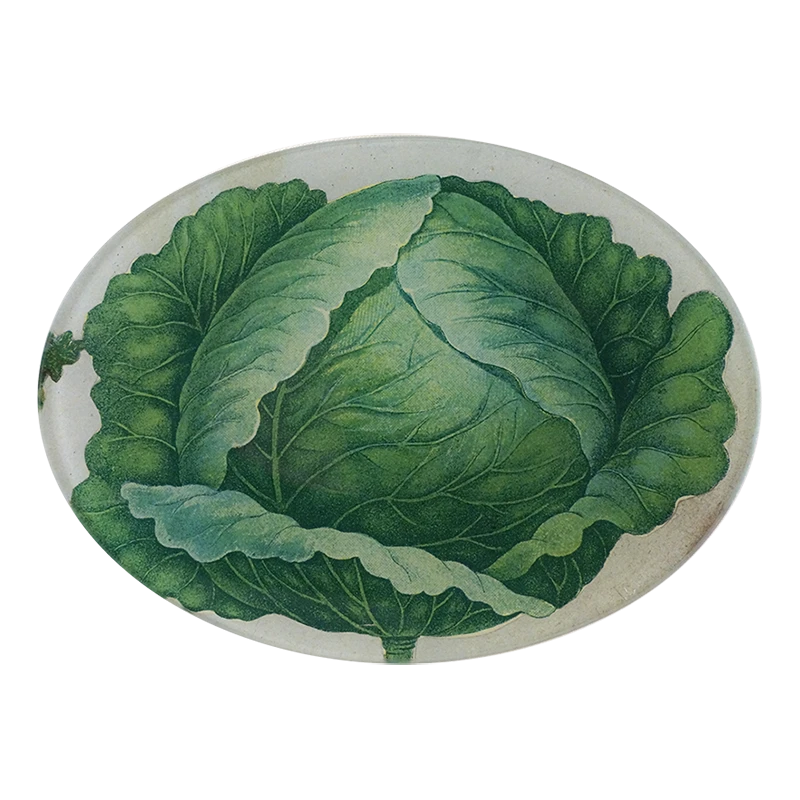 John Derian Scrapbook Cabbage - FINAL SALE 3 John Derian Scrapbook Cabbage - FINAL SALE