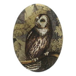 John Derian Decoupage Small Owl