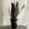 Vintage Art Antique French Tole Potted Agave Plant Sculpture (No. 5)