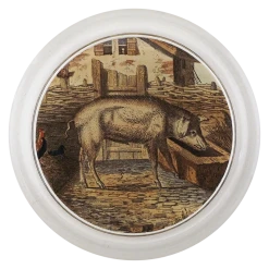 John Derian Domestic Pig