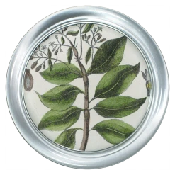John Derian Fruits, Flowers, Foliage #3 Officinalis Green Leaf - FINAL SALE