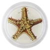 John Derian Gold Starfish 2 John Derian Gold Starfish