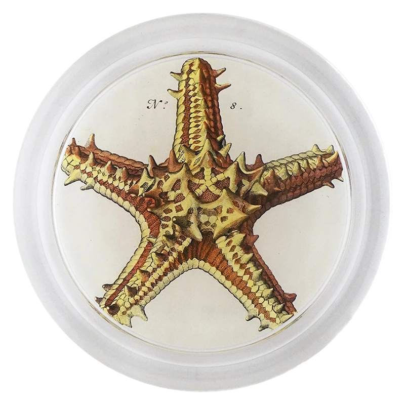 John Derian Gold Starfish 3 John Derian Gold Starfish