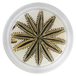 John Derian Starfish Bottom Decoupage