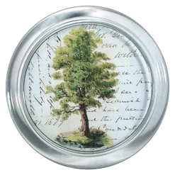 John Derian #4 Tree - FINAL SALE