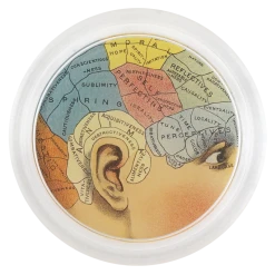 John Derian Aspiring Decoupage