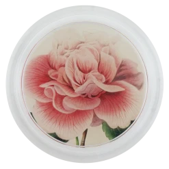 John Derian Decoupage Camellia Blossom 1