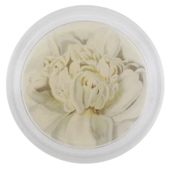 John Derian Decoupage Camellia Blossom 2