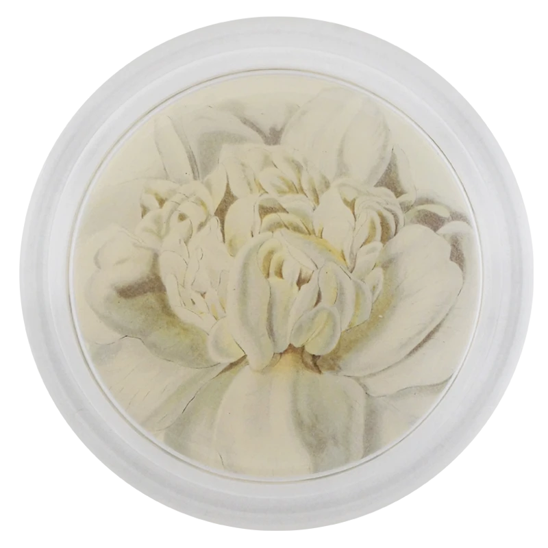 John Derian Decoupage Camellia Blossom 2 3 John Derian Decoupage Camellia Blossom 2