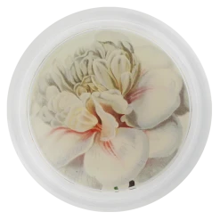 John Derian Camellia Blossom 3 - FINAL SALE Valentine's Day