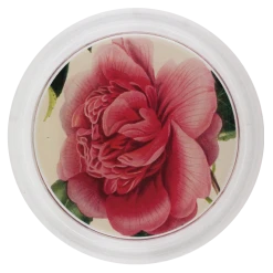 John Derian Decoupage Camellia Blossom 4