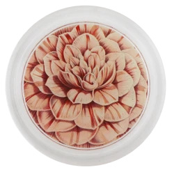 John Derian Valentine's Day Camellia Comte De Paris - FINAL SALE