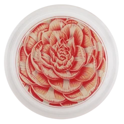 John Derian Camellia General Lafayette Decoupage