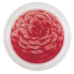 John Derian Decoupage Camellia Japonica Pozzi Vera