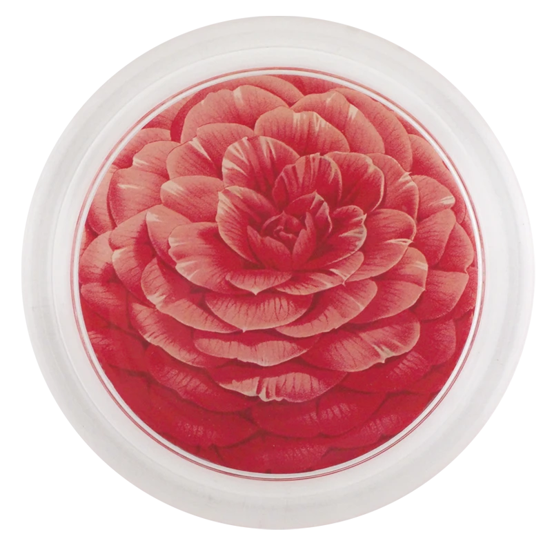 John Derian Decoupage Camellia Japonica Pozzi Vera 3 John Derian Decoupage Camellia Japonica Pozzi Vera