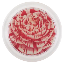 John Derian Camellia Japonica Tricolor Imbricata Plena