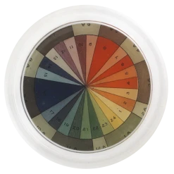 John Derian Color Wheel Decoupage