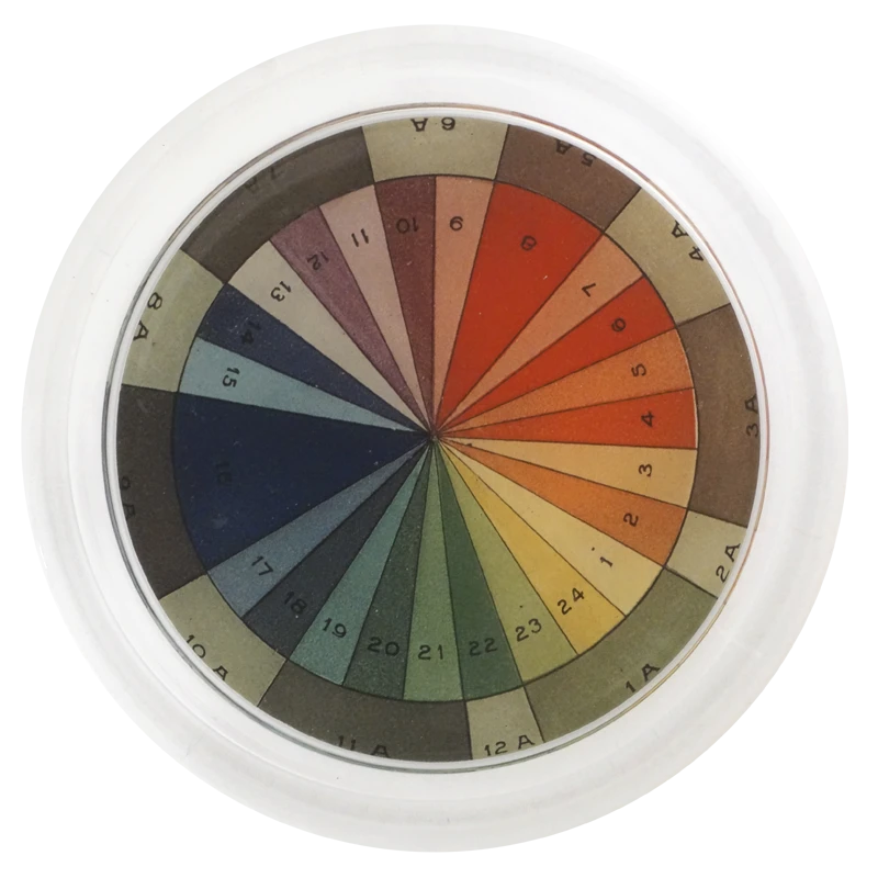 John Derian Color Wheel Decoupage 3 John Derian Color Wheel Decoupage