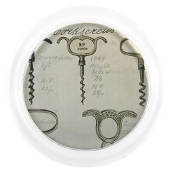 John Derian Decoupage Corkscrews