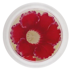 John Derian Decoupage Fleur Des Gloxinia 1