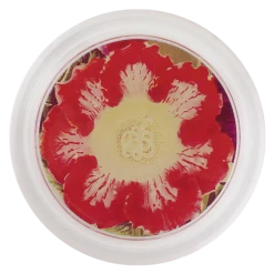 John Derian Fleur Des Gloxinia 2 Decoupage