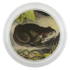 John Derian Decoupage Frog A.