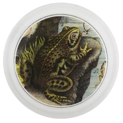 John Derian Decoupage Frog B.
