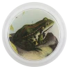 John Derian Frog D. Decoupage