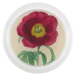 John Derian Rose 2 Decoupage