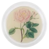 John Derian Valentine's Day Rose 4 - FINAL SALE 1 John Derian Valentine's Day Rose 4 - FINAL SALE
