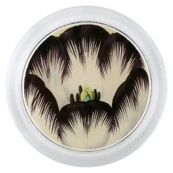 John Derian Brown White Tulip Decoupage