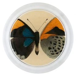 John Derian Callith Sapphira (Exotic Butterfly) - FINAL SALE Easter