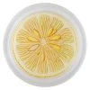 John Derian Decoupage Limonier (Citrus)