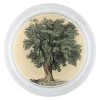John Derian Oak Tree (Little Folks) Decoupage