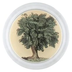 John Derian Oak Tree (Little Folks) Decoupage