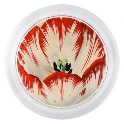 John Derian Decoupage Red Tulip