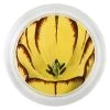 John Derian Easter Yellow Tulip - FINAL SALE