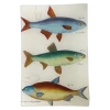 John Derian 3 Fish Planche 82 Decoupage