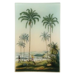 John Derian Bresil Decoupage