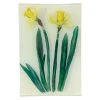 John Derian Jonquil