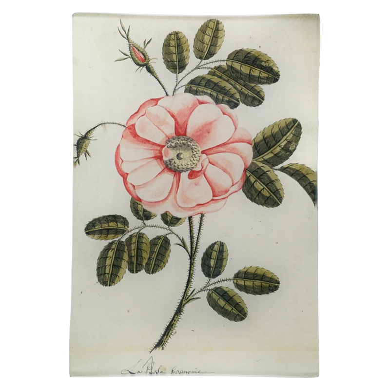 John Derian Painted Rose 3 John Derian Painted Rose