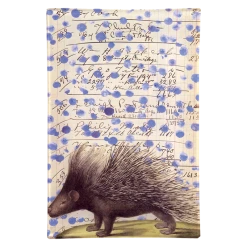 John Derian Porcupine