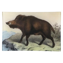 John Derian Boar