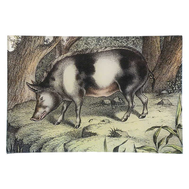 John Derian Decoupage Pig 3 John Derian Decoupage Pig